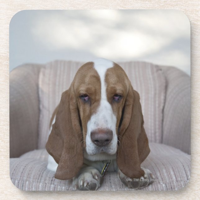 Basset Hound Coaster (Front)