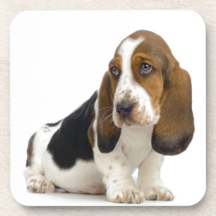 Basset Hound Coaster