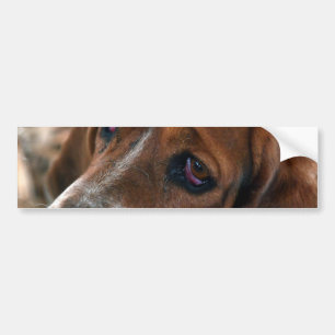 Basset Hound Design Bumper Stickers