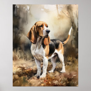 Basset Hound Dog Art Print Poster
