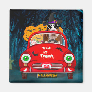 Basset Hound Dog Driving Car Scary Halloween Magnet