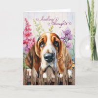 Basset Hound Dog Garden Gladiolus Get Well