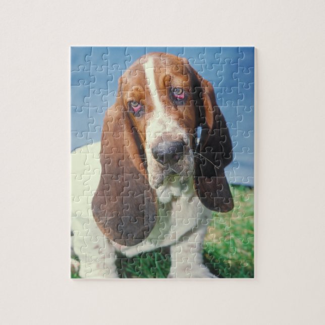 Basset Hound Dog Puzzle (Vertical)