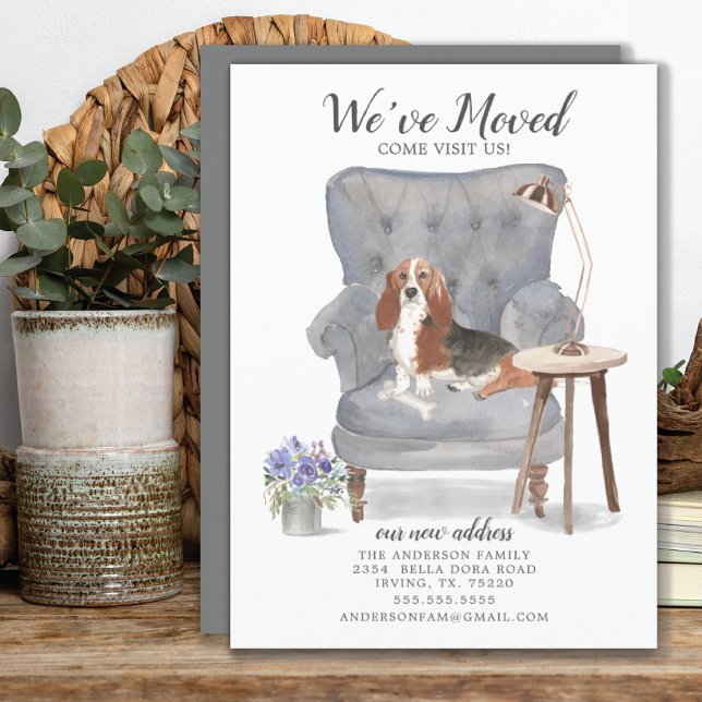 Basset Hound Dog We've Moved Moving Announcement (Creator Uploaded)