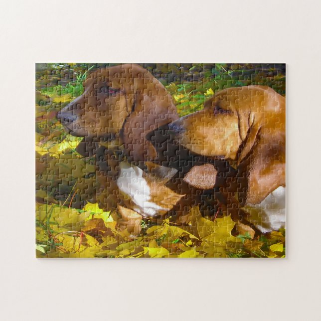 Basset Hound Dogs. Jigsaw Puzzle (Horizontal)