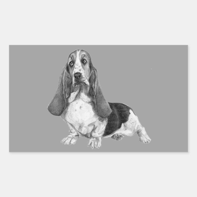 Basset Hound Drawing Rectangular Sticker (Front)