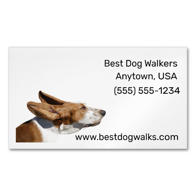 Basset Hound Ears Flapping in Wind Dog Walker Magnetic Business Card (Front)