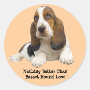 Basset Hound Fabulous Face Sticker
