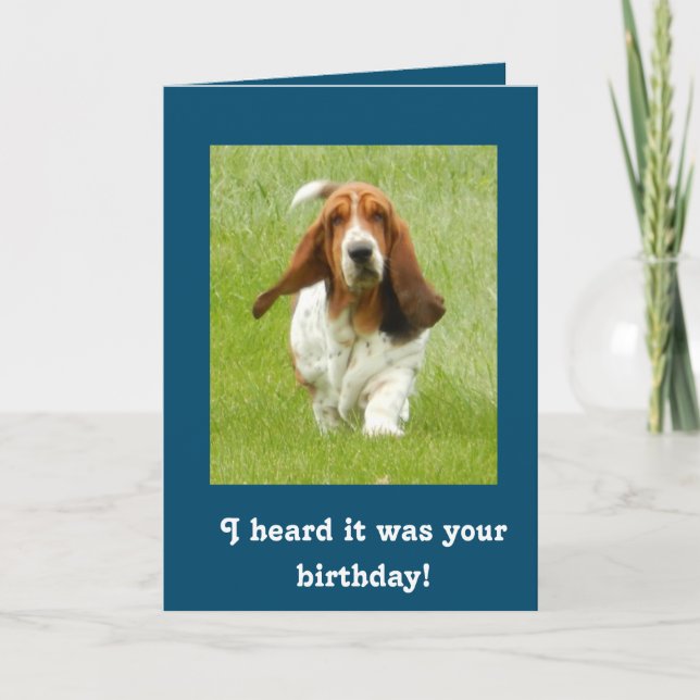 Basset Hound funny birthday card (Front)