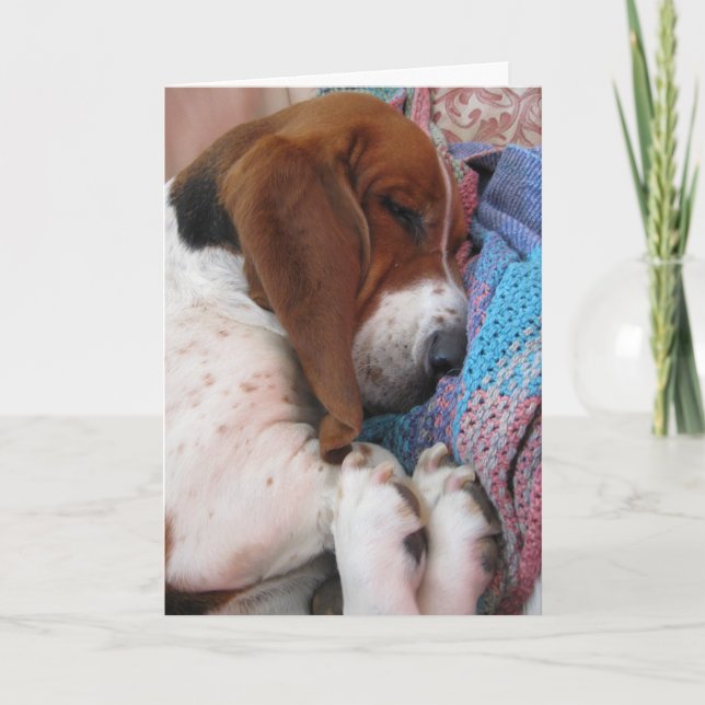 Basset Hound Get Well Soon Card (Front)