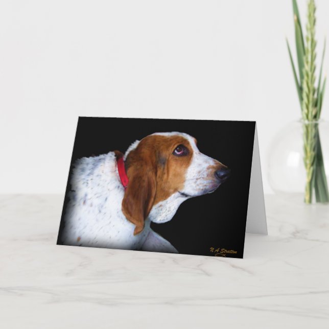 Basset Hound Greeting card (Front)