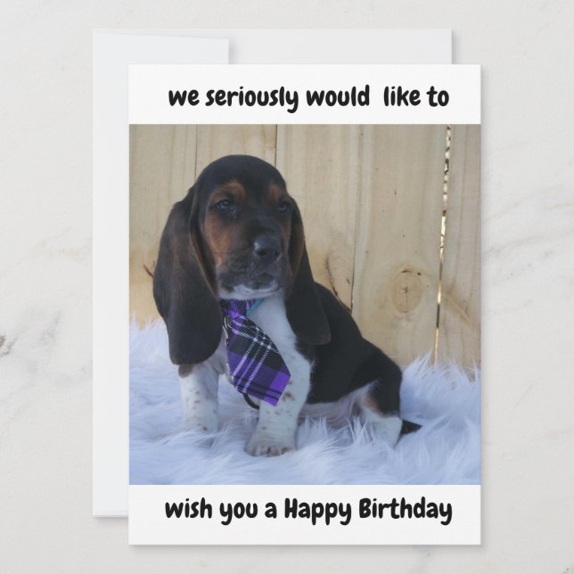 Basset hound happy Birthday card (Front)