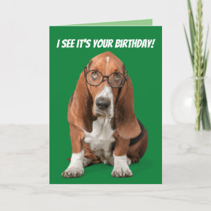 Basset Hound I See It's Your Birthday Card