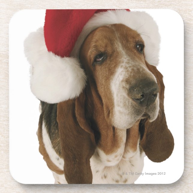 Basset hound in Santa hat Coaster (Front)