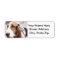 Basset Hound in Santa Hat