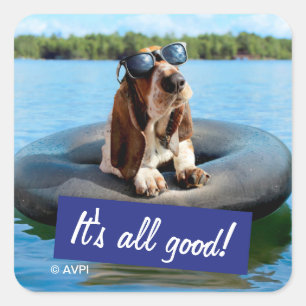 Basset Hound In Sunglasses Square Sticker