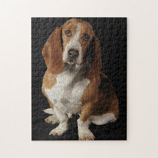 Basset hound jigsaw puzzle