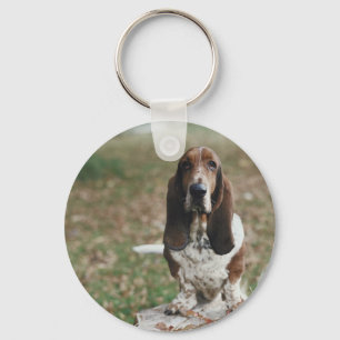 Basset Hound Key Ring