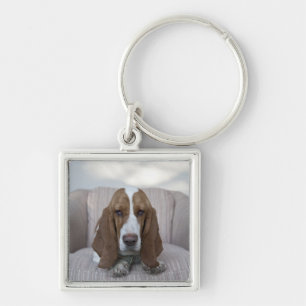Basset Hound Key Ring