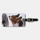 BaSSeT HoUND