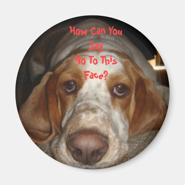 Basset Hound Magnet (Front)