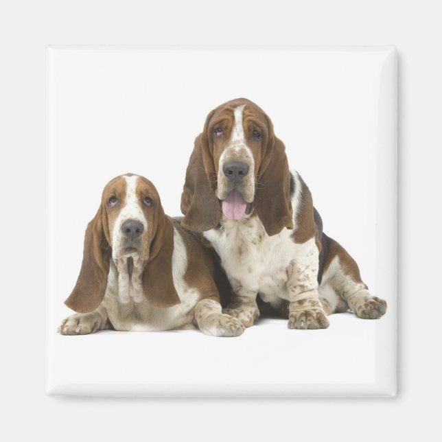 Basset Hound magnet (Front)
