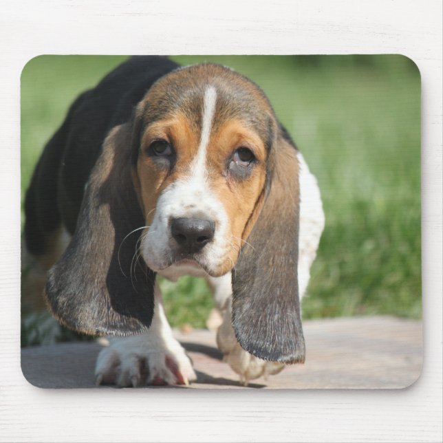 Basset Hound Mousepad (Front)