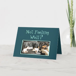 Basset Hound on Funny "Get Well" Card