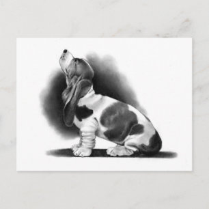 BASSET HOUND: PENCIL REALISM: PUPPY POSTCARD