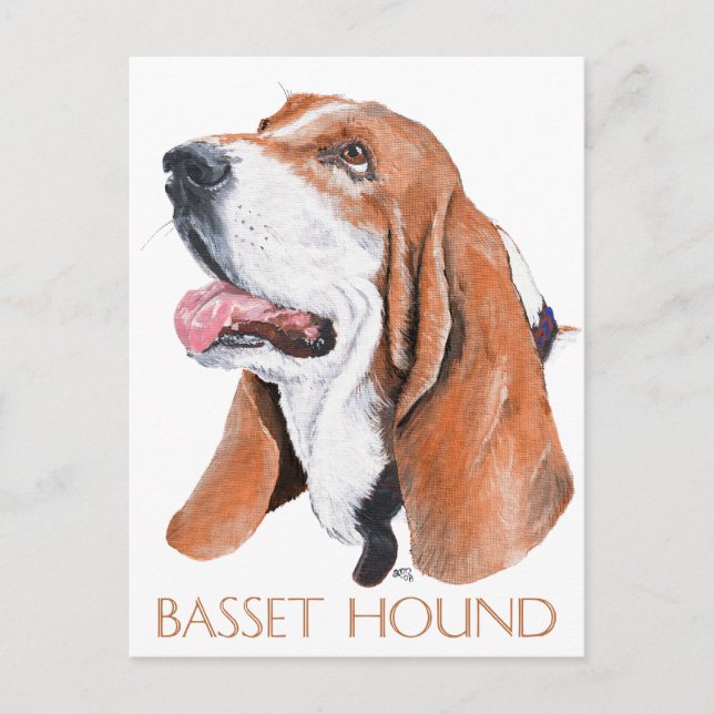 Basset Hound Postcard (Front)