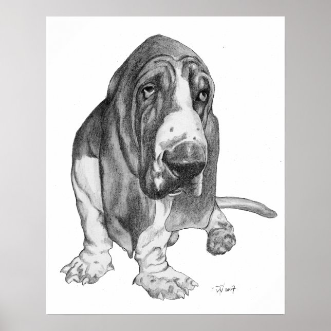 Basset Hound Poster (Front)