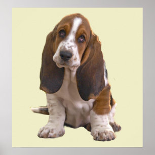 Basset Hound Print