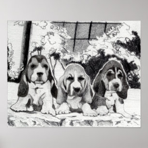 Basset Hound Puppies Dog Portrait Poster