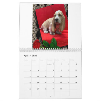 Basset hound puppy calendar