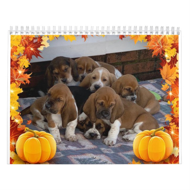 Basset hound puppy calendar (Cover)