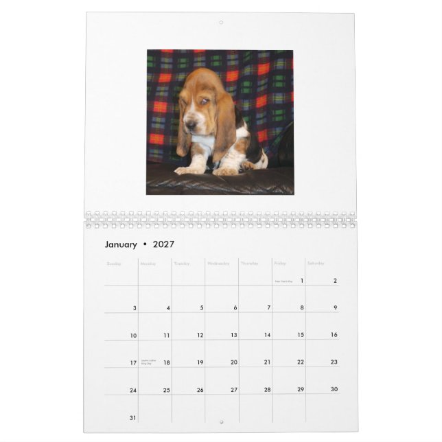 Basset Hound puppy calendar (Jan 2027)