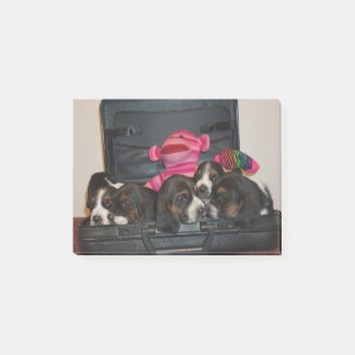 Basset hound puppy note pad