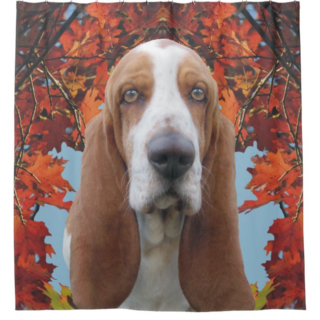 Basset Hound Shower Curtain (Front)