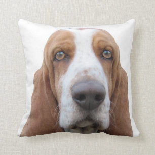 Basset Hound To Howl About Cushion