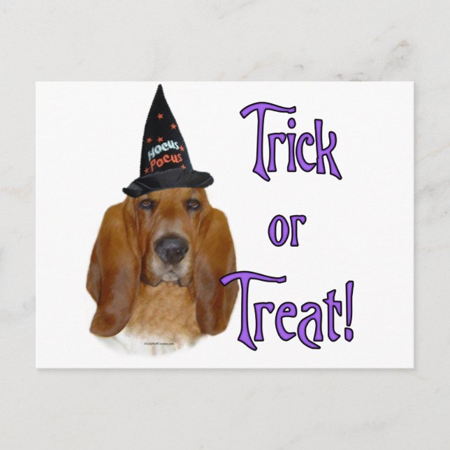 Basset Hound Trick Postcard (Front)