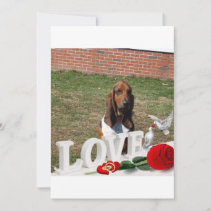 Basset hound valentines day card