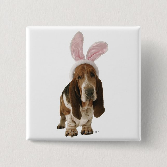 Basset hound with bunny ears 15 cm square badge (Front)