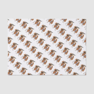 Basset Hound with Candy Cane Tissue Paper