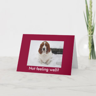 Basset Hound with sad face funny get well card