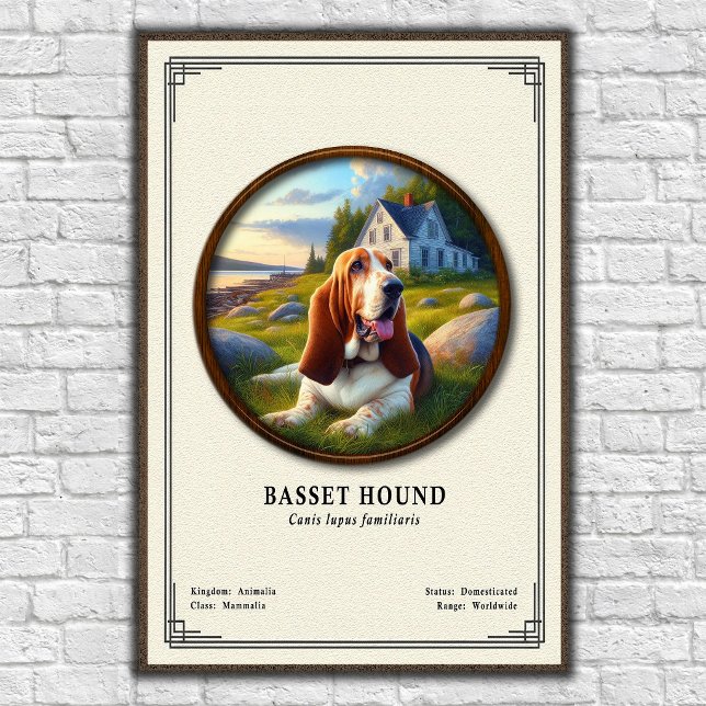 Basset Hound Zoology Series Poster (Creator Uploaded)