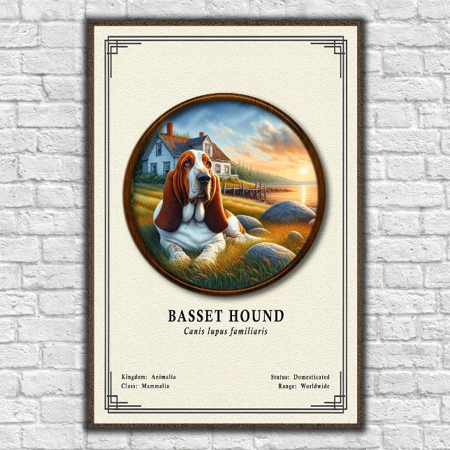 Basset Hound Zoology Series Poster (Creator Uploaded)