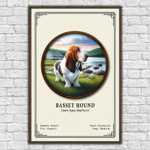Basset Hound Zoology Series Poster