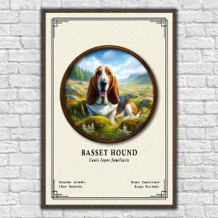 Basset Hound Zoology Series Poster