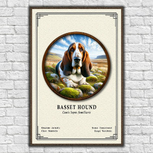 Basset Hound Zoology Series Poster