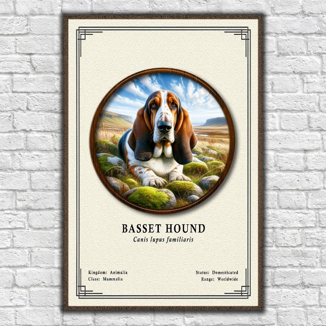 Basset Hound Zoology Series Poster (Creator Uploaded)